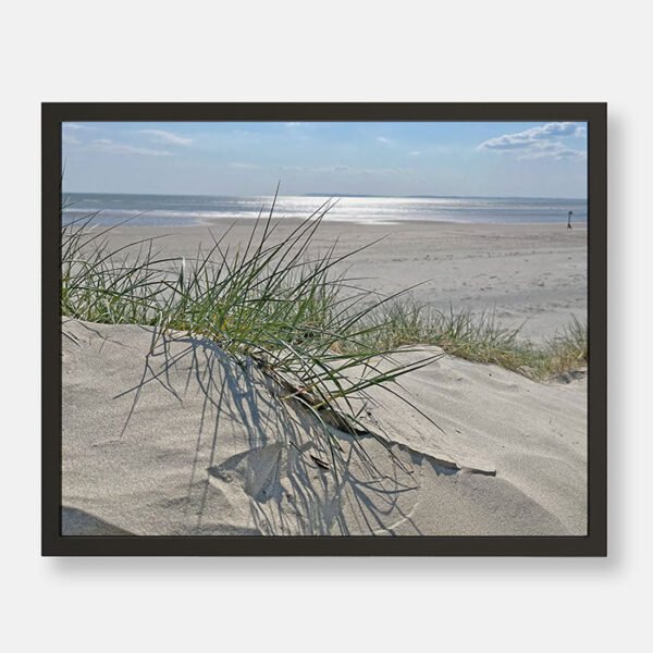 Sand Dunes On A Tranquil Beach - Image 5